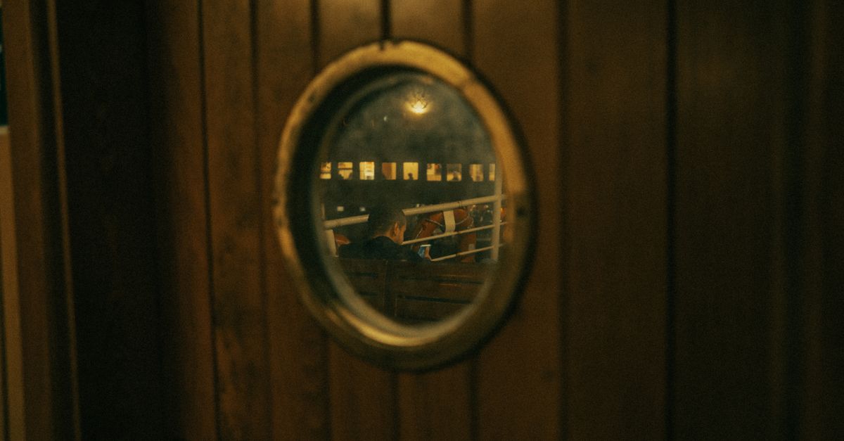 One Last Cruise: scenarios